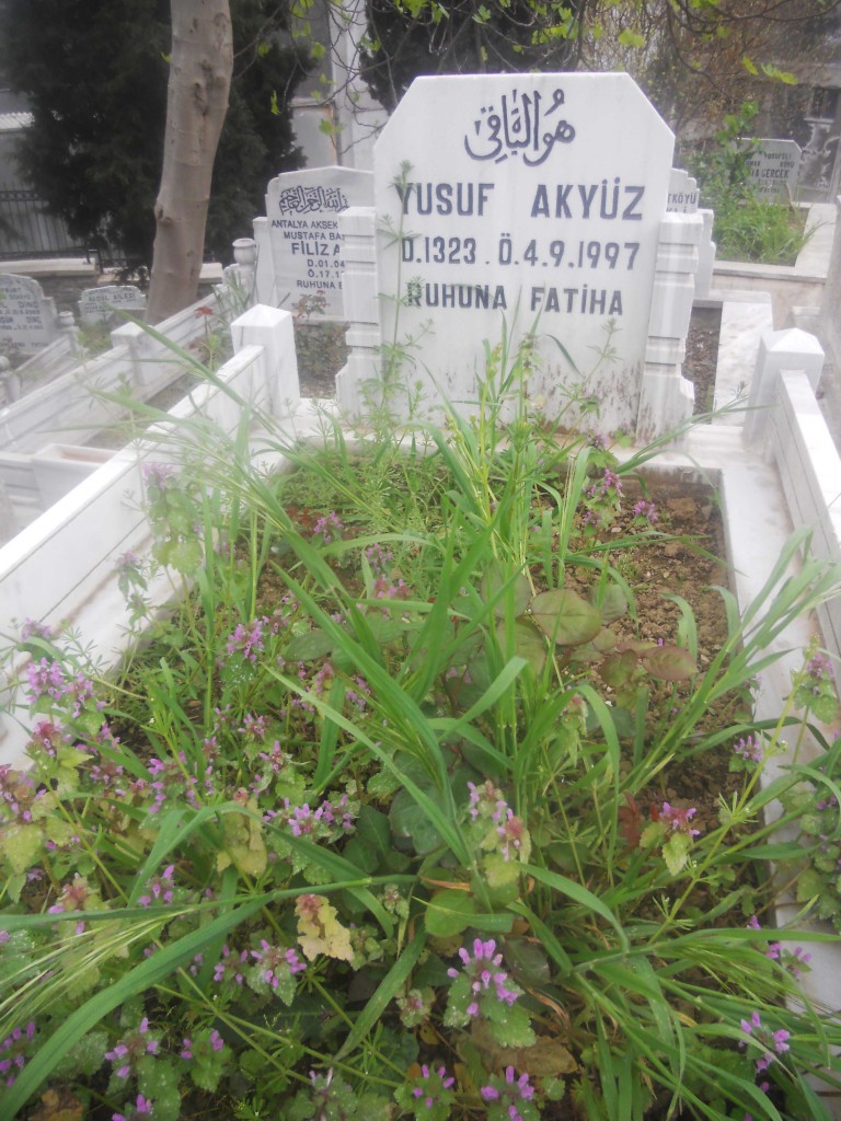 Anadolu Hisarı Cemetery