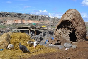 A turkey house made out of dung. Düzgeçit.