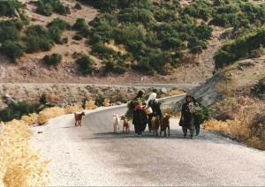 Road near Ayvacık