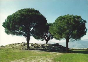 Pergamon, site of Zeus Altar