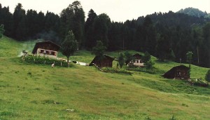 A winter yayla below the treeline.