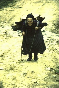 A Laz lady collecting firewood.
