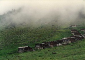 A summer yayla above the treeline.