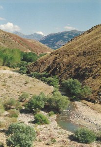 All of Tunceli seemed to look a bit like this.