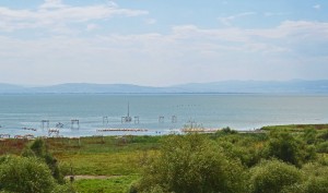 Kuş Cenneti. Paradise for migratory birds.