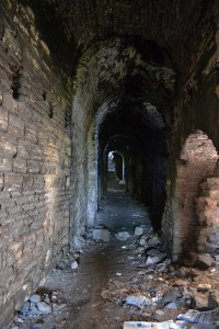 Vaults of the Palace of the Manganes