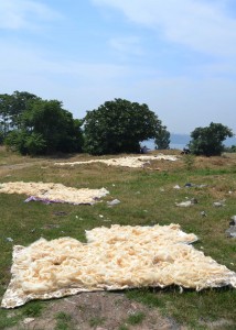 Drying wool on the site of the Palace of Rhegium