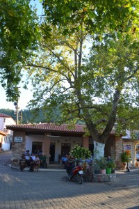 Coffeehouse in Bozüyük