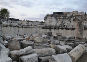 Gymnasium, Stratonikeia