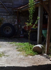 Column in a nearby yard