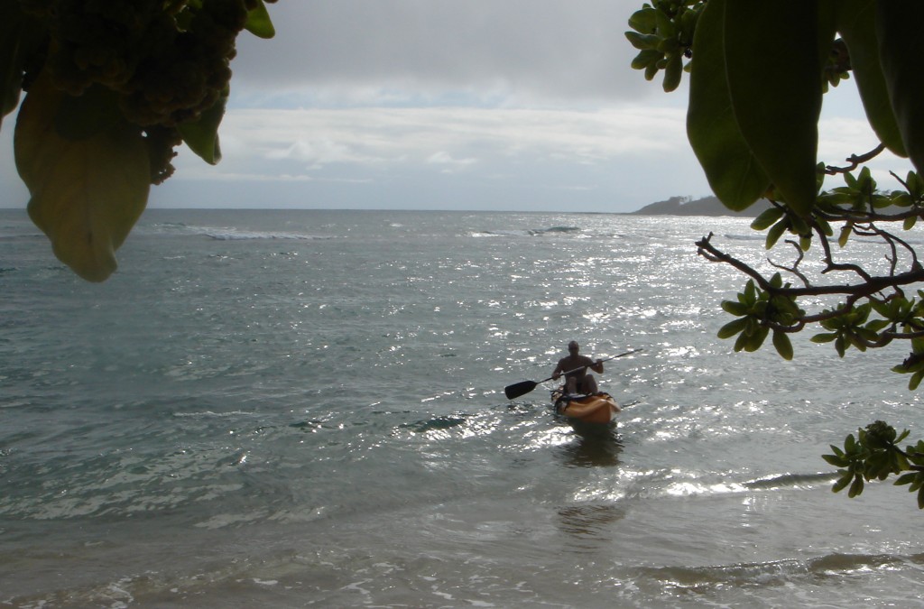 hawaii5-0011 hawaii5-0011