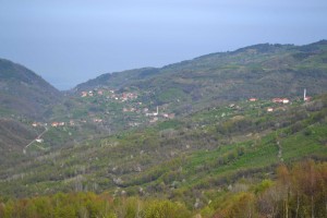 River valley down in to Alaplı
