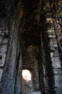 philanthropus2 Vaults