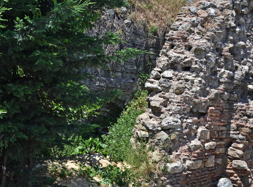 medipol-wall-church2
