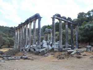 mugla81 The first view of teh Temple of Zeus from the north-west as one enters the site.