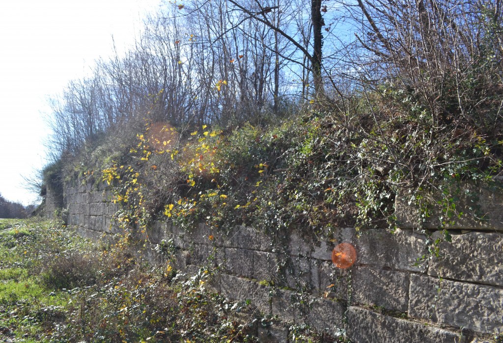 wall1