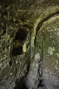 kiyiko-n-niche-niches