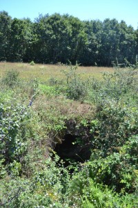 kucukyali-setting Arch over cave entrance