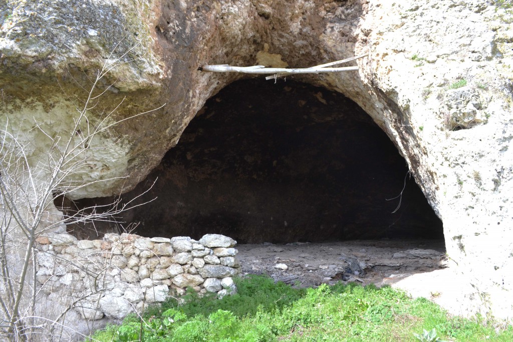 sogucak-051