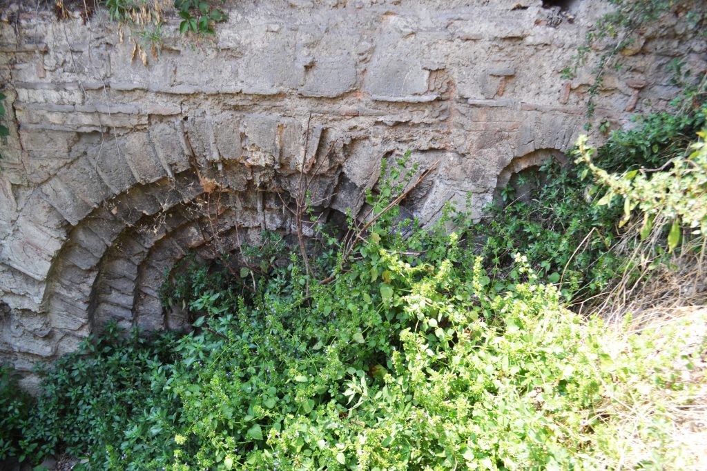 august-extra-arch