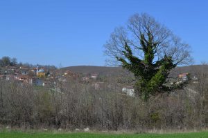The village of Balkaya from the necropolis